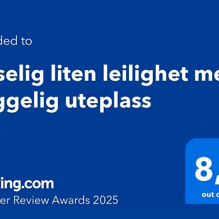 Koselig Liten Med Hyggelig Uteplass